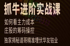 抓牛进阶实战课PDF文档