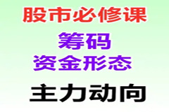 筹码理论实战课22集