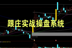 跟庄实战操盘系统高阶班