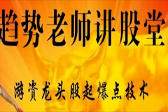 游资龙头股起爆点技术30节课