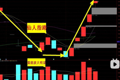 老鹰实盘教学视频仙人指路技术课