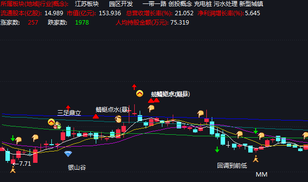 个股基本信息