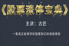 股票涨停宝典：高级炒股教程