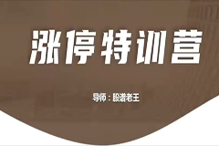 老王涨停训练营51集视频