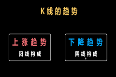 李晓光《K线交易课程》19集视频