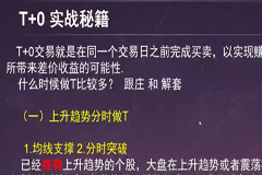 龟股堂《股票T+0实战秘籍》共32集