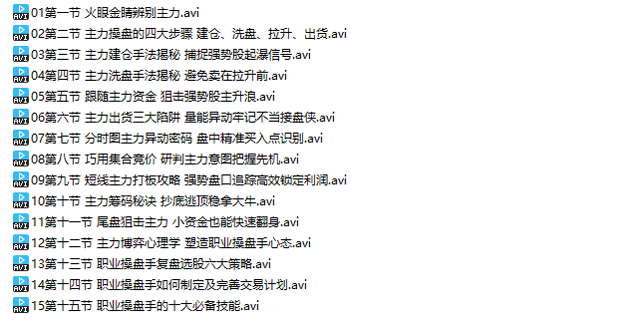 主力