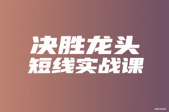 决胜龙头短线实战课
