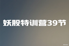 李栋妖股特训营39节