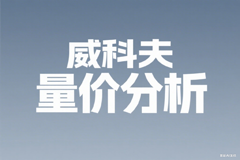 飞云金教《威科夫量价分析》