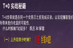 龟股堂《股票T+0实战秘籍》共32集