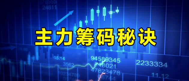 筹码
